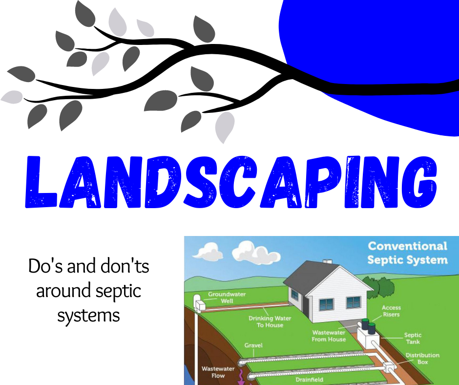 Landscaping Around Your Septic System