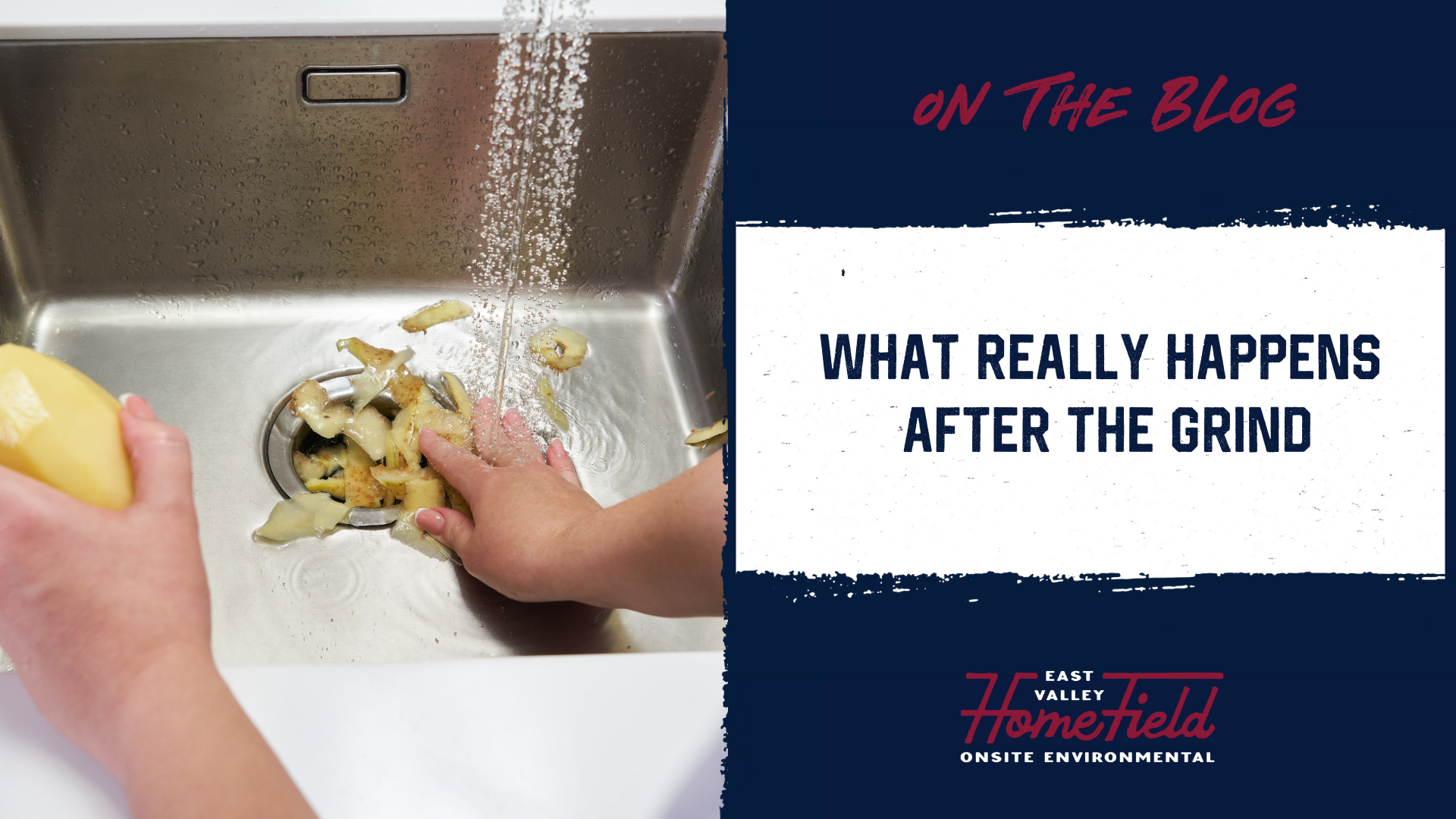 Septic and Garbage Disposals Behind the Grind